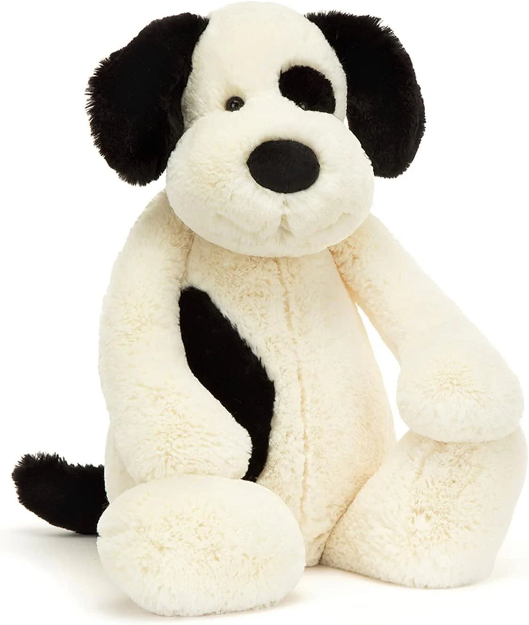 Bashful Black and Cream Puppy