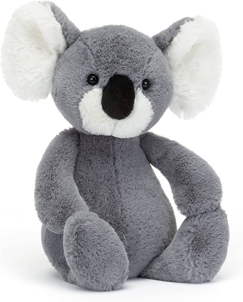 Bashful Koala