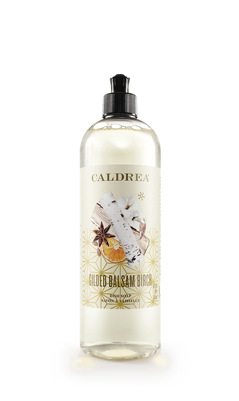 Gilded Balsam Birch Dish Soap