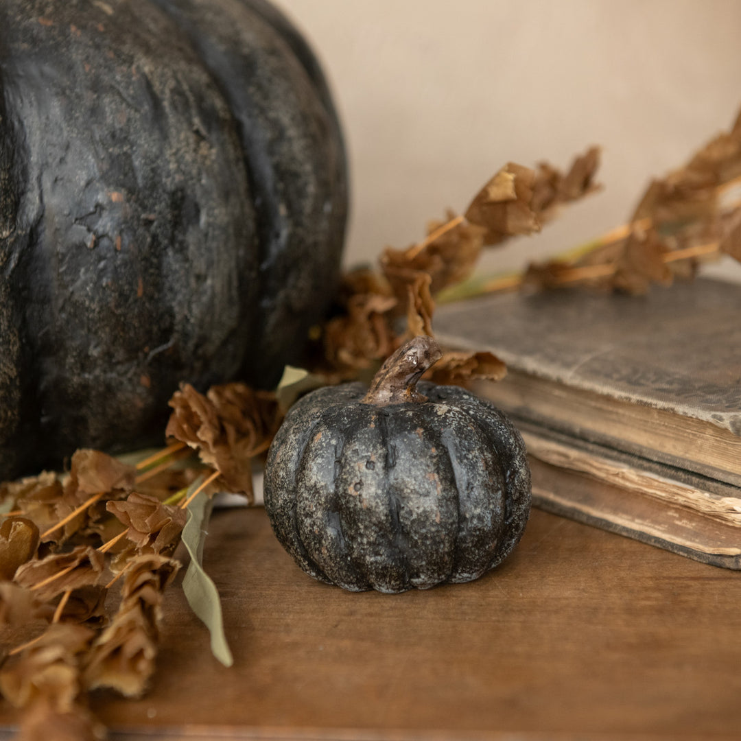 2.75" BLACK SHORT PUMPKIN