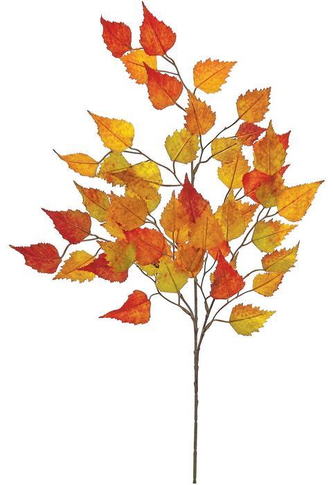Birch Leaf X3 W/50lvs, 27", Autumn25