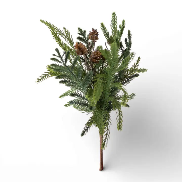 Araucaria Pine W/Pinecone Spray 14" PK12
