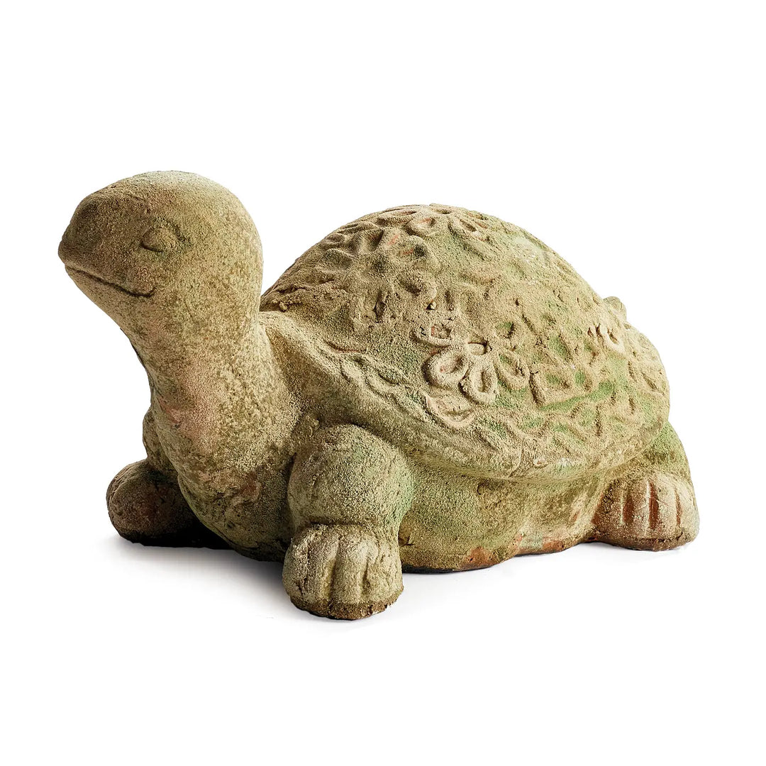 Weathered Garden Turtle