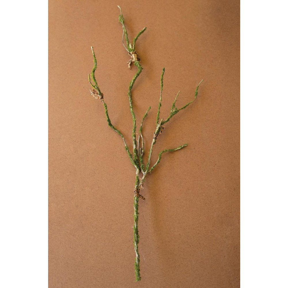Botanica #9028