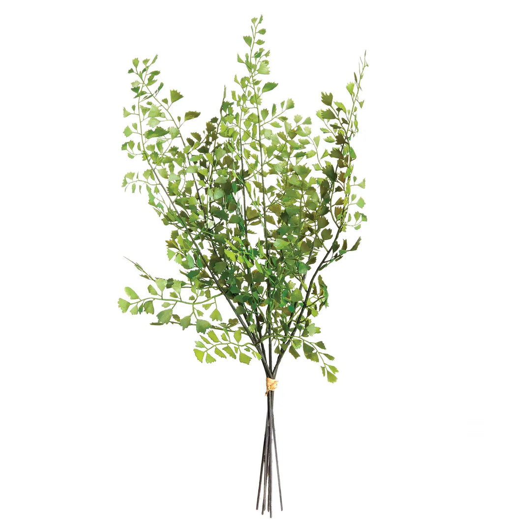 Maidenhair Stems Bundle of 7