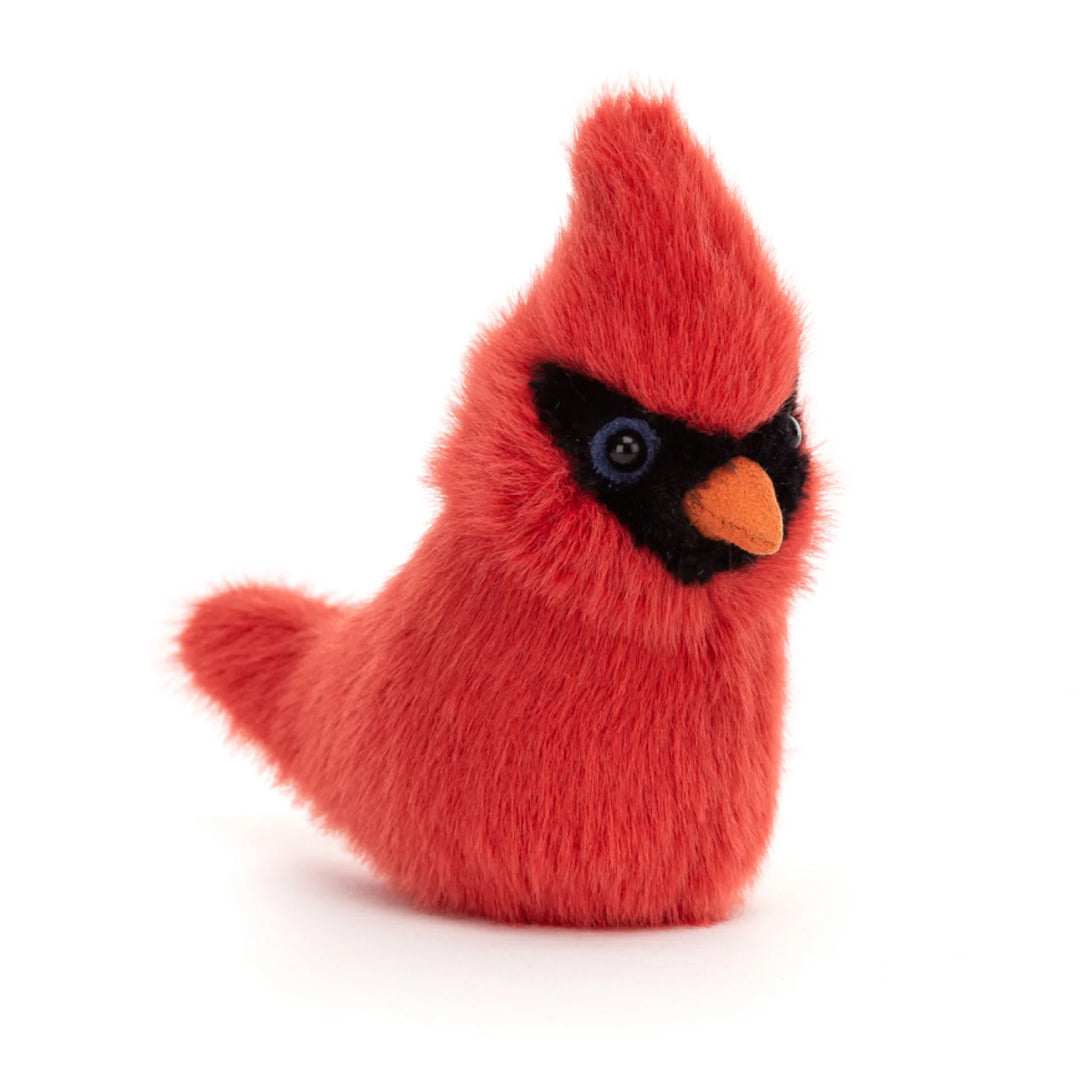 Birding Cardinal