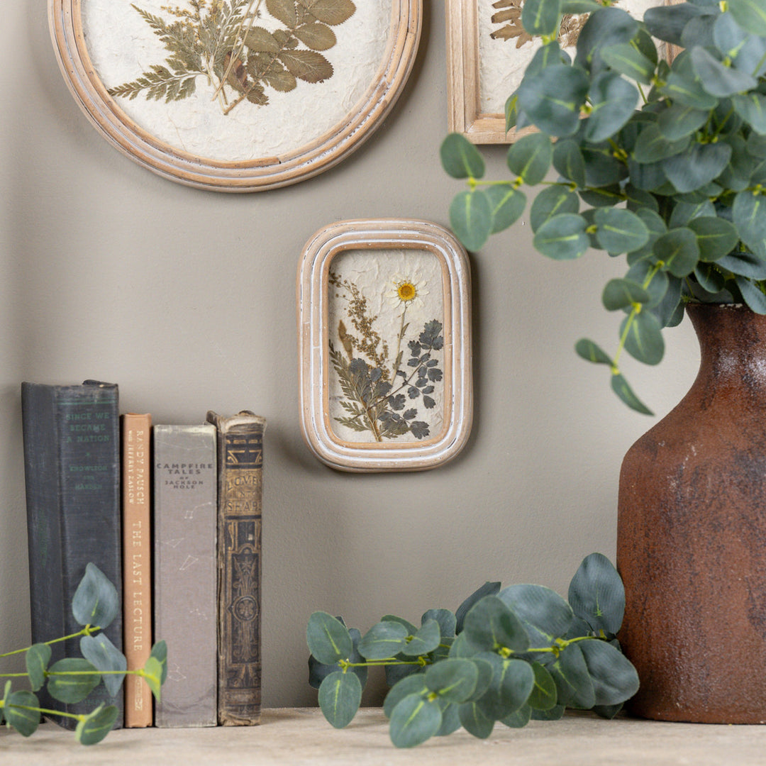 6.25" PRESSED WHITE FLOWER IN FRAME