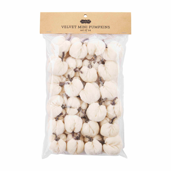 CREAM MINI VELVET PUMPKIN SET