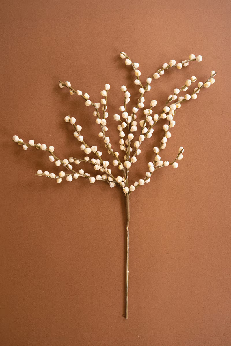 Botanica 2716