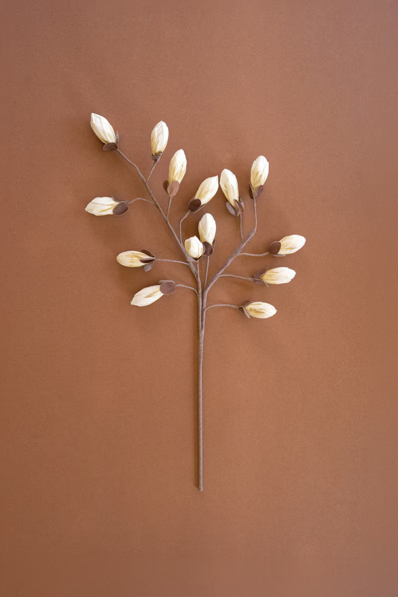 botanicals