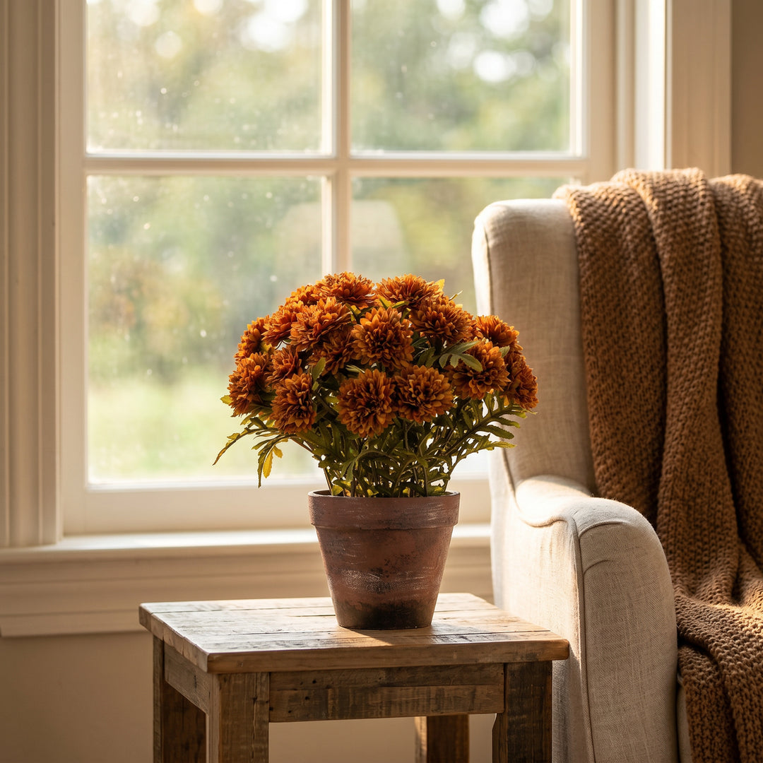 13" POTTED BROWN MUMS