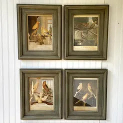 Canary Prints