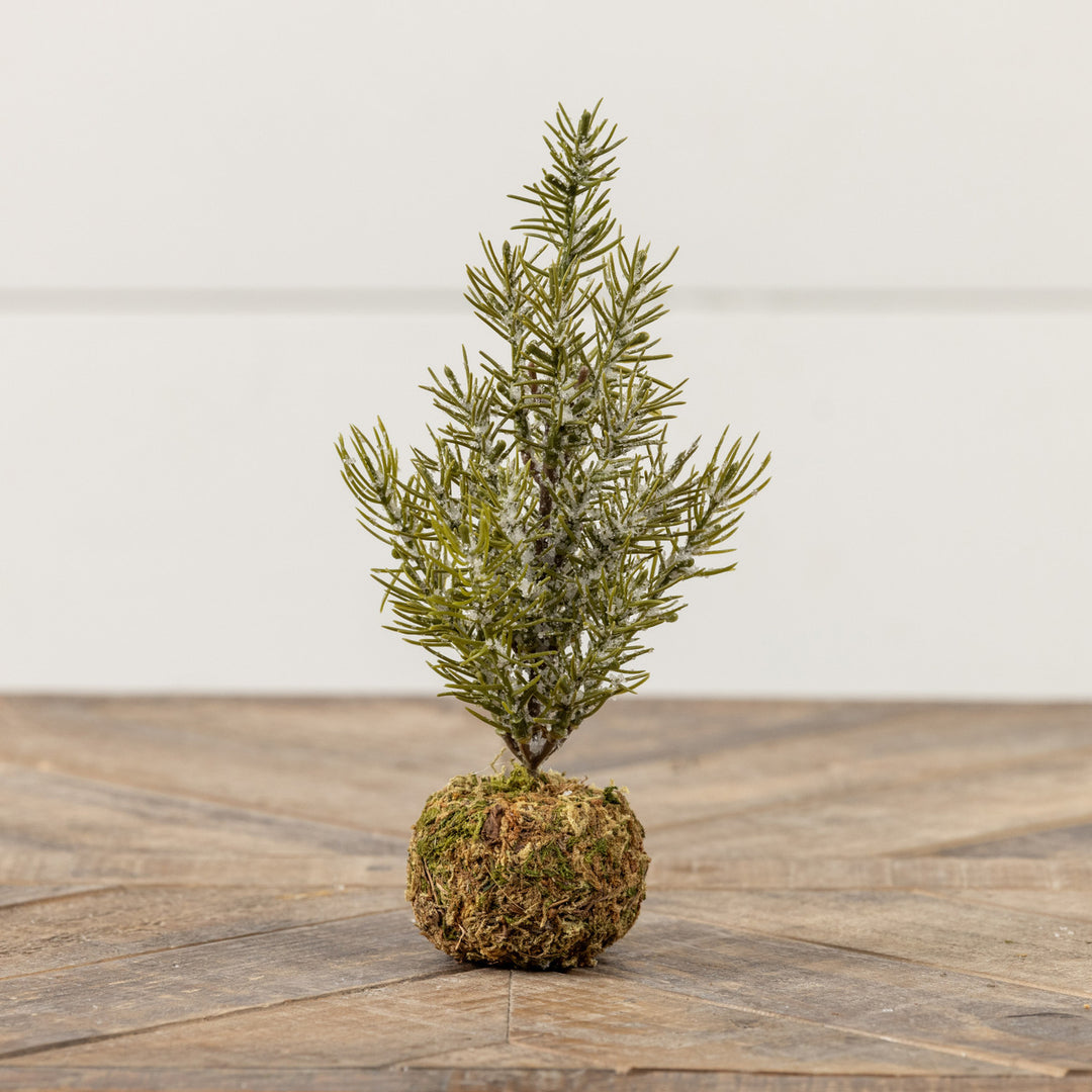 9.25" PINE TREE W/ MOSS BALL BASE