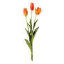 French Tulips 24", Bundle of 3
