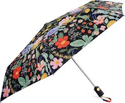 Umbrella Curio