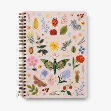 Spiral Notebook Curio