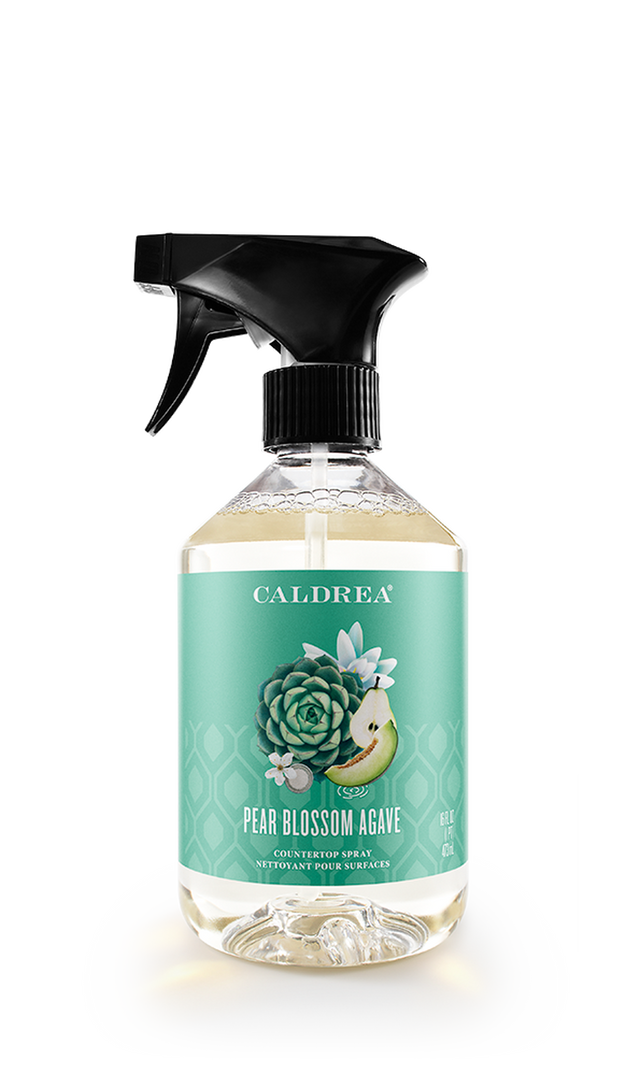 Pear Blossom Agave