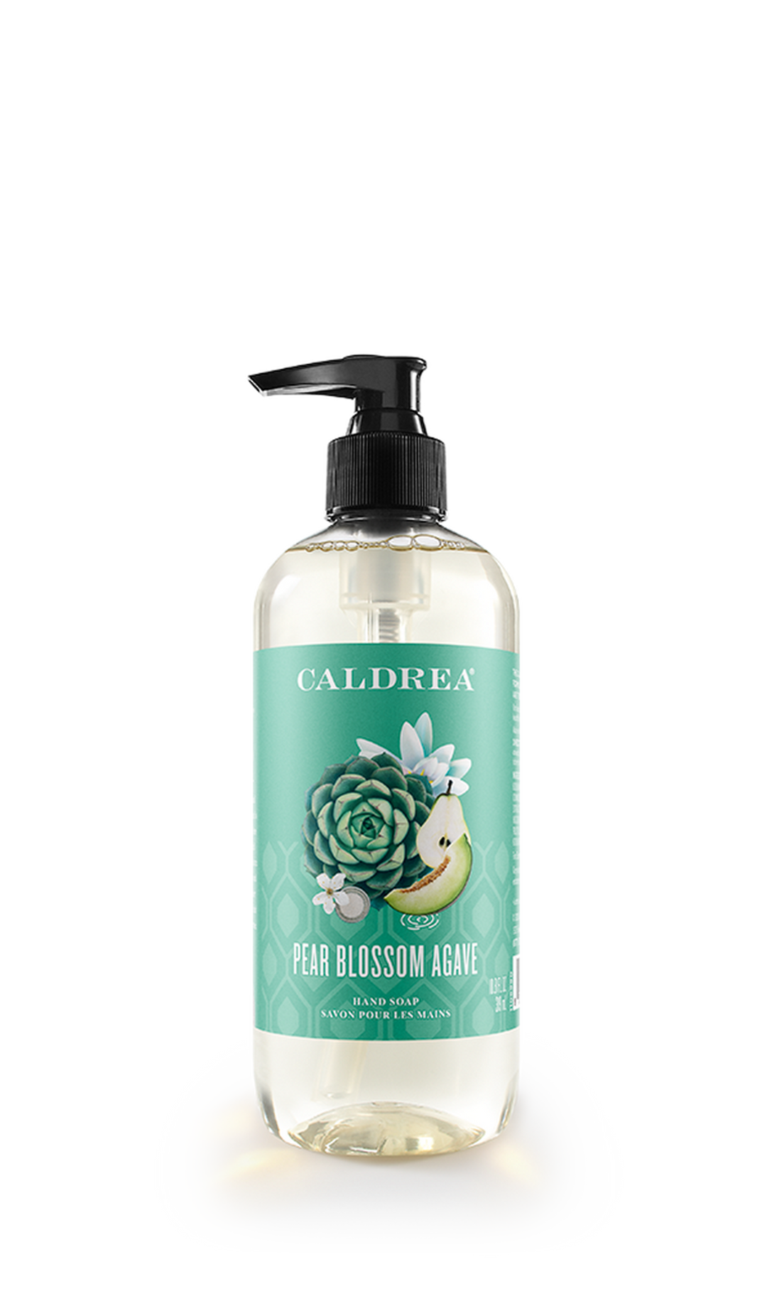 Pear Blossom Agave