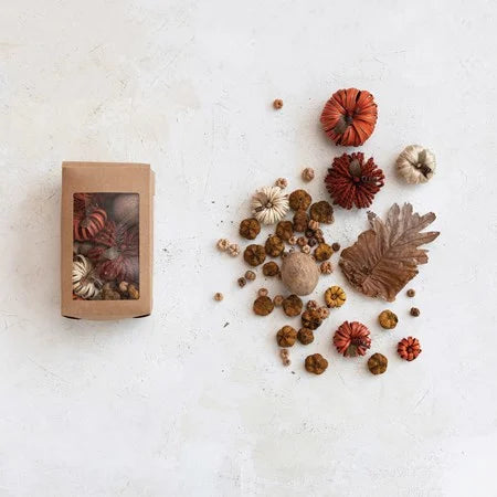Dried Natural Pumpkin Shaped Mix Multi