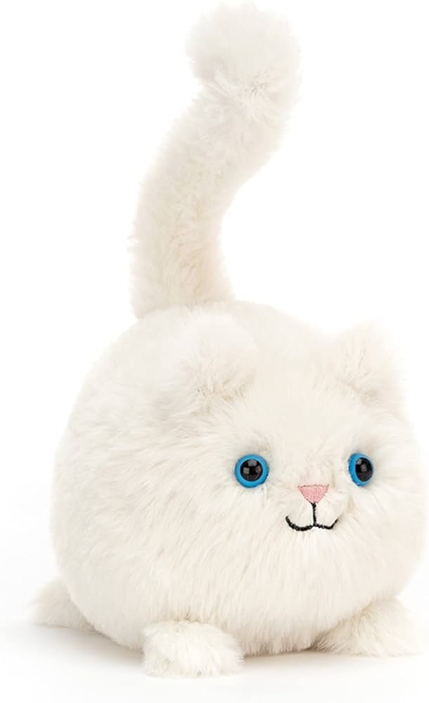 Kitten Caboodle