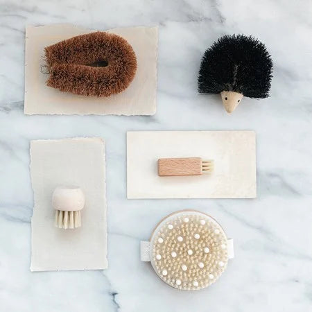 Wood and Plastic Hedgehog Brush