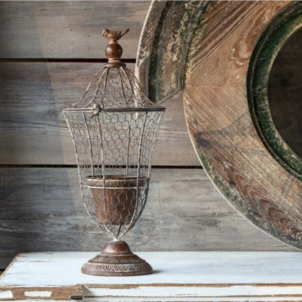Farmhouse Chicken Wire with Bird Cloche Planter
