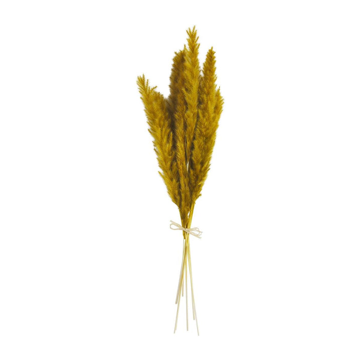 Pampas Stems