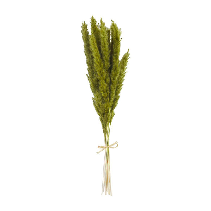 Pampas Stems