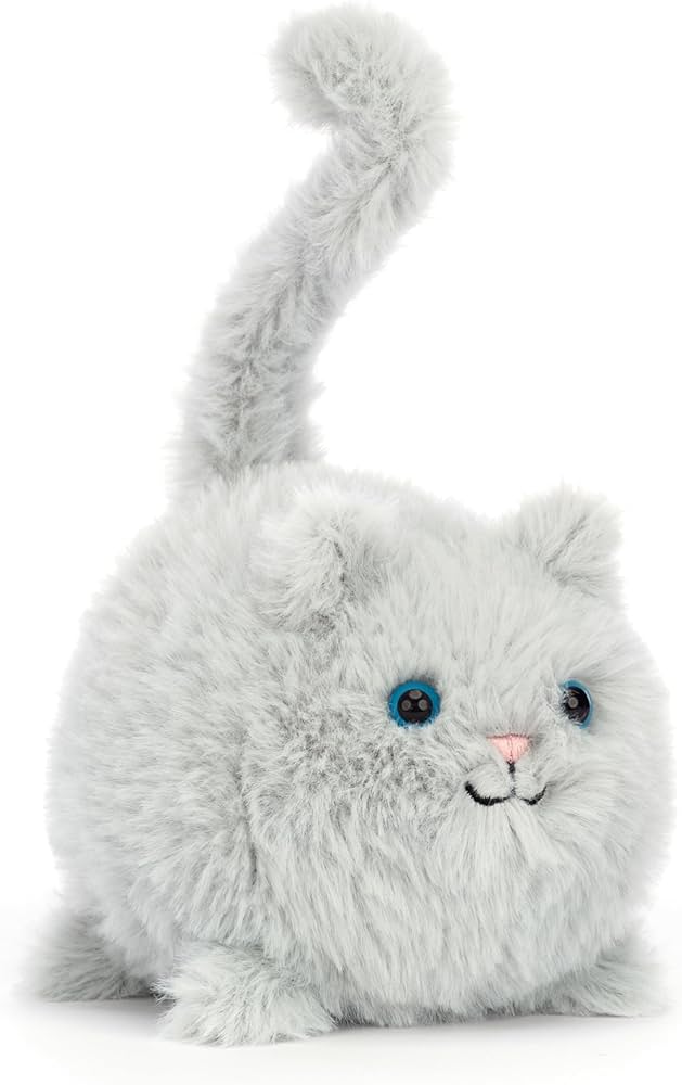 Kitten Caboodle