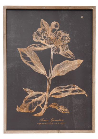 Wall Decor with Botanical Print, 2 Styles