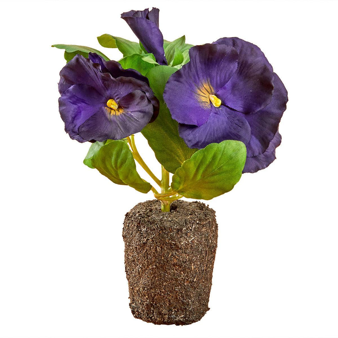 Pansy Drop-in 6.5"