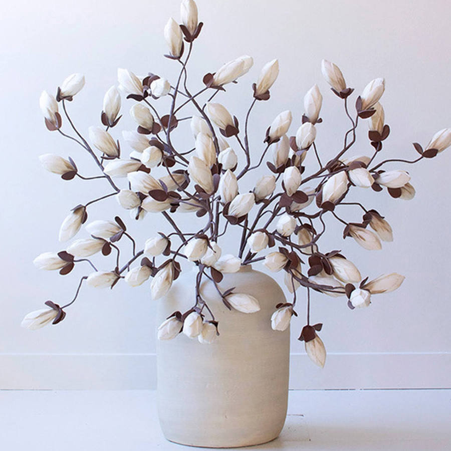 Botanica 2716