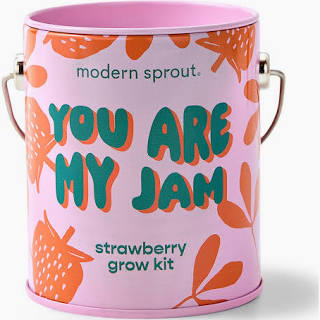 You Are My Jam Strawberry Grow Kit