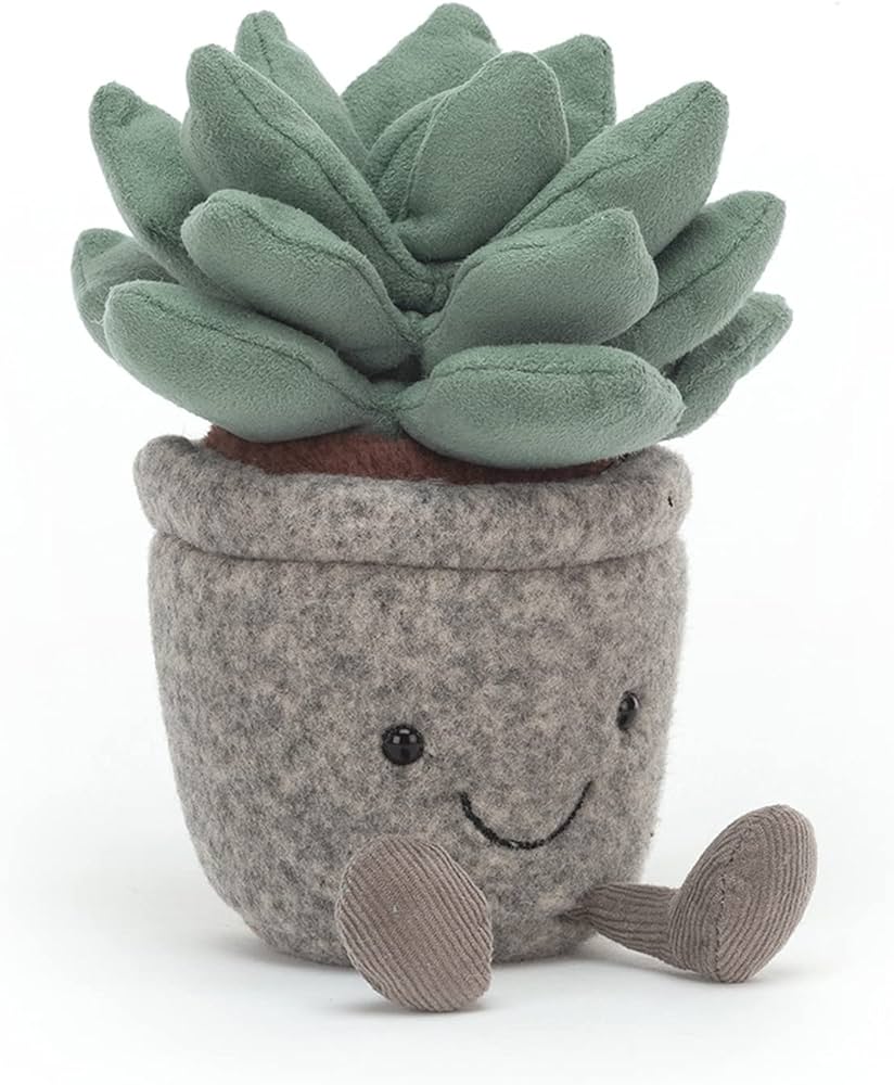 Silly Succulent