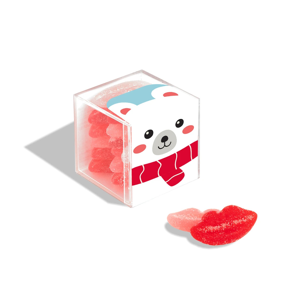 Polar bear Snow Kisses