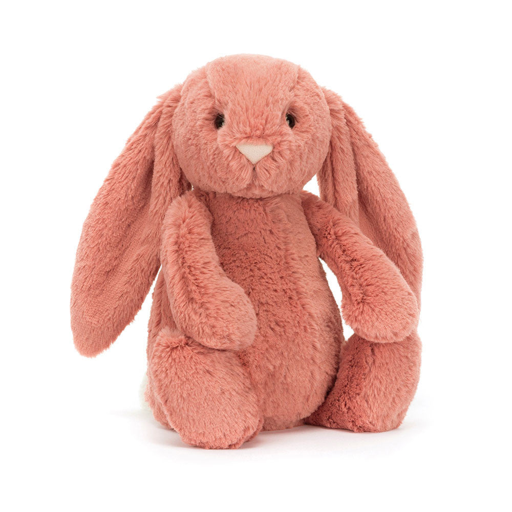 Bashful Bunny