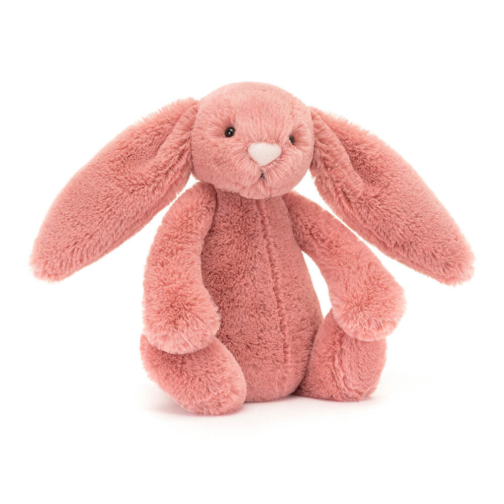 Bashful Bunny